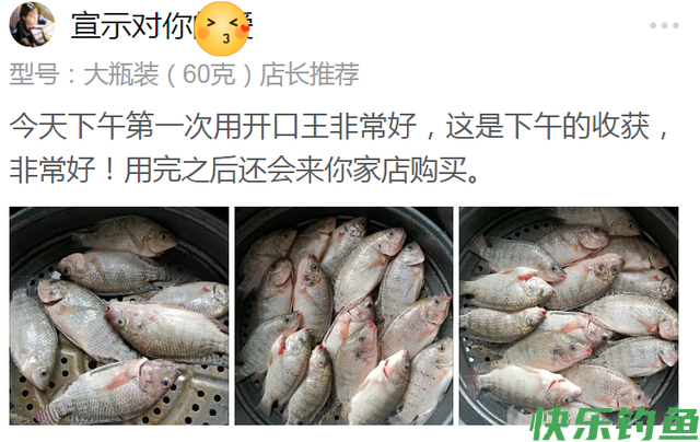 黑坑能钓青鱼吗，如何钓滑口青鱼(图10)