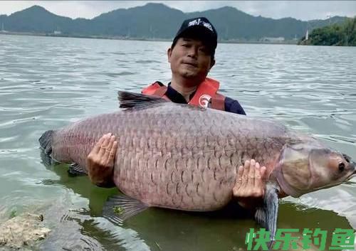 钓鱼人多有大鱼梦，盘点我国淡水中的“巨物”，你钓到过几个？(图1)