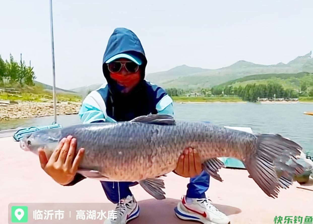 王者之战B组：化绍新试钓擒获60斤大青鱼，“抽鲢鳙”或成过去式(图3)
