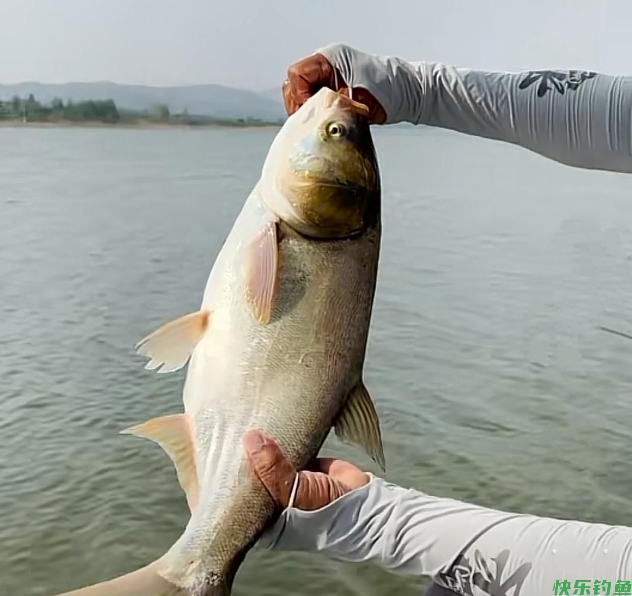 王者之战B组：化绍新试钓擒获60斤大青鱼，“抽鲢鳙”或成过去式(图6)