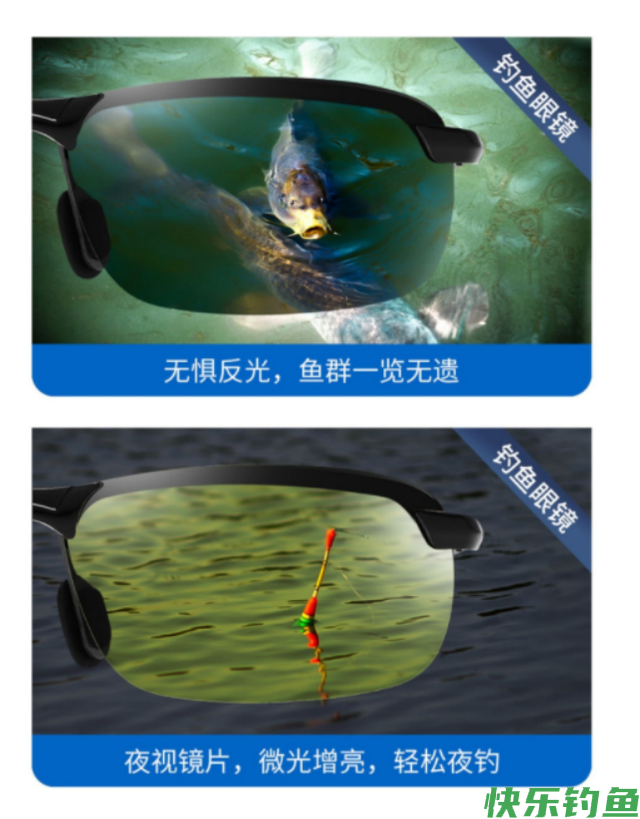 黑坑钓青鱼的4大要素，把握好了钓青鱼不再难(图10)