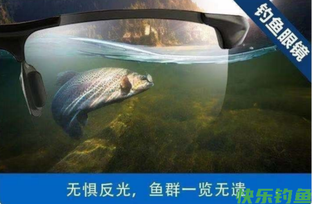 黑坑钓青鱼的4大要素，把握好了钓青鱼不再难(图11)