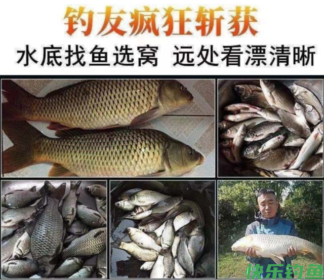 黑坑钓青鱼的4大要素，把握好了钓青鱼不再难(图12)