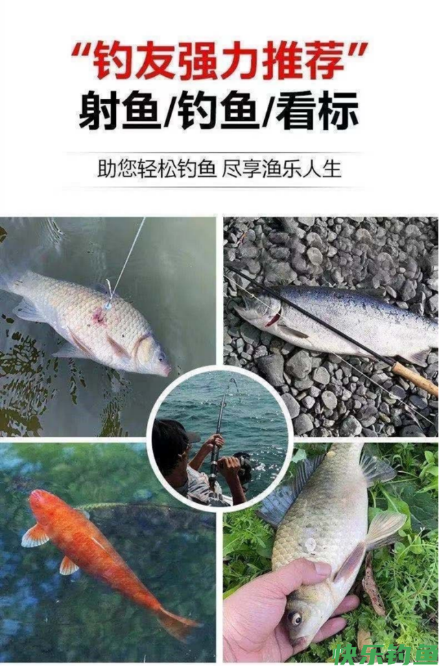 黑坑钓青鱼的4大要素，把握好了钓青鱼不再难(图13)