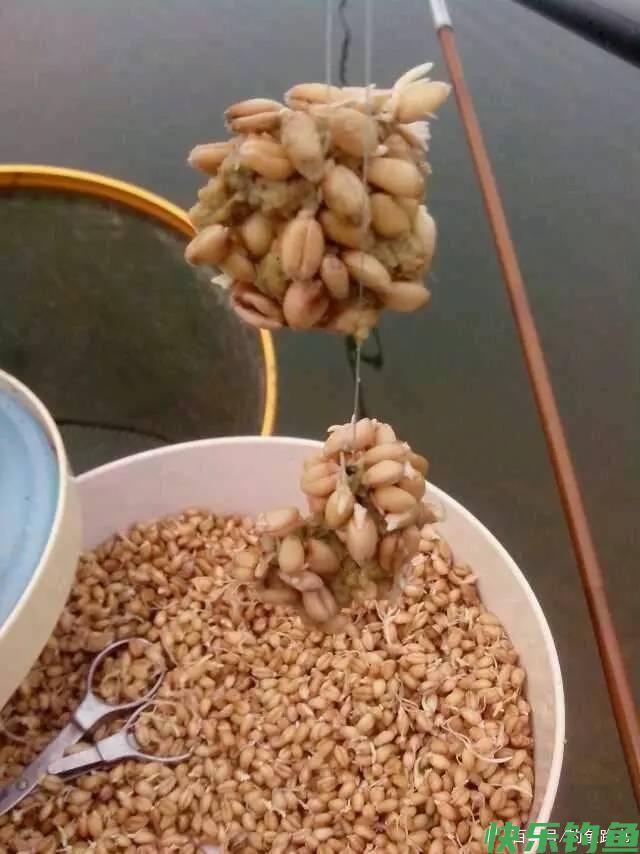 总结钓青鱼·草鱼的几种方法(图4)