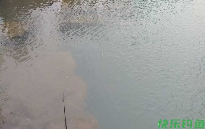 春季什么时候开始钓鱼？(图2)