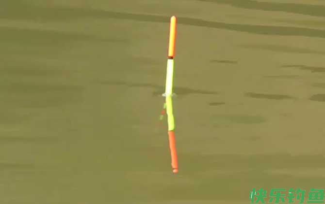水库钓鱼选位置有什么诀窍？(图7)