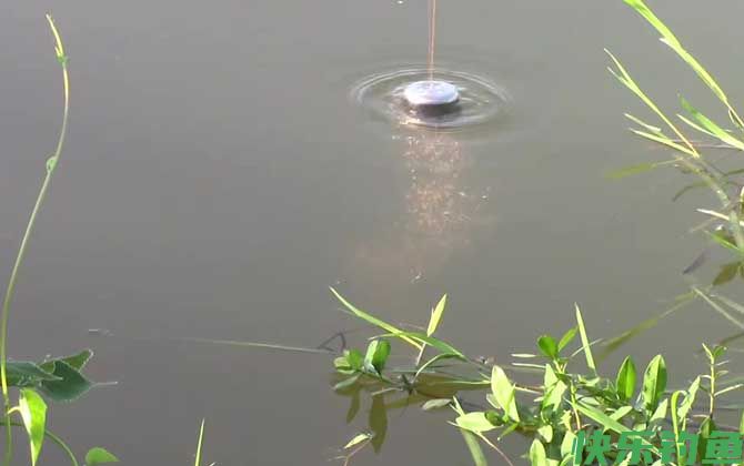 水库钓鱼选位置有什么诀窍？(图1)