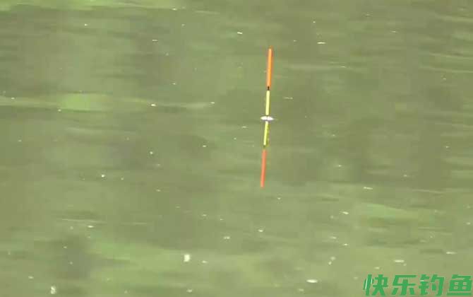 滑铅钓法效果好吗？(图2)
