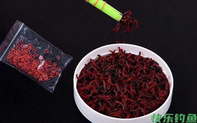 红虫的危害有哪些？(图2)