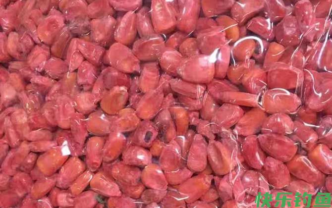 用玉米钓鱼需要打窝吗？(图3)