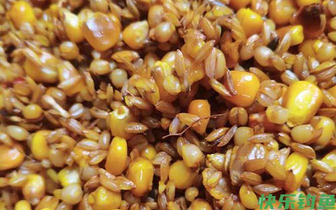 钓鱼玉米鱼饵的制作方法和配方(图5)
