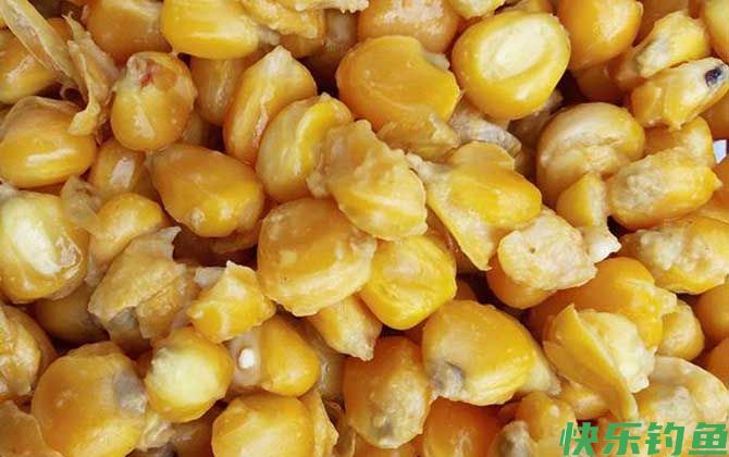 钓鱼饵料种类大全及介绍(图4)