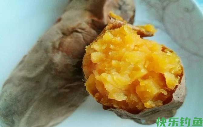 钓鱼饵料种类大全及介绍(图6)