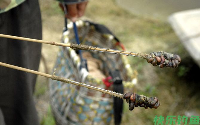 钓黄鳝不脱钩技巧及注意事项(图3)