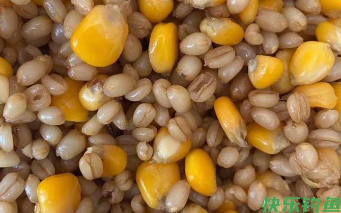 排名第一的野钓饵料及介绍(图4)