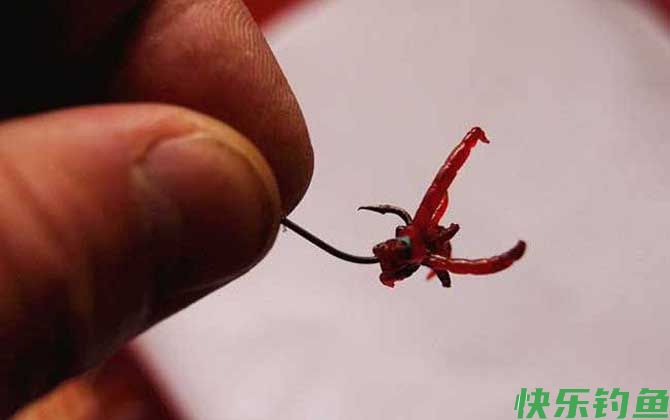 什么时候用红虫钓鱼最好？(图2)