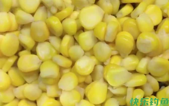 酒泡嫩玉米最佳泡制方法(图1)