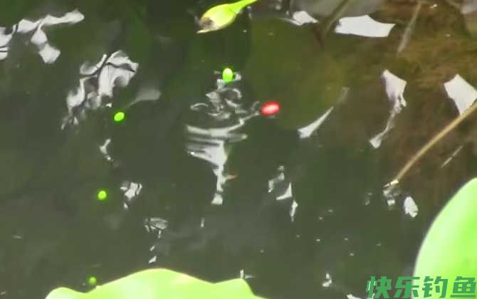 秋季钓鱼钓远还是钓近？(图2)