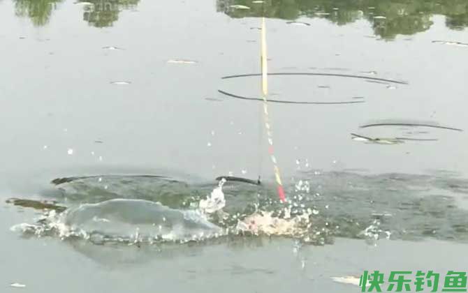 冬季钓鱼可以钓浮吗？(图4)