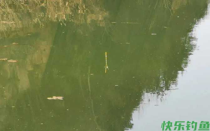 水库钓鱼怎么打窝诱鱼？(图1)