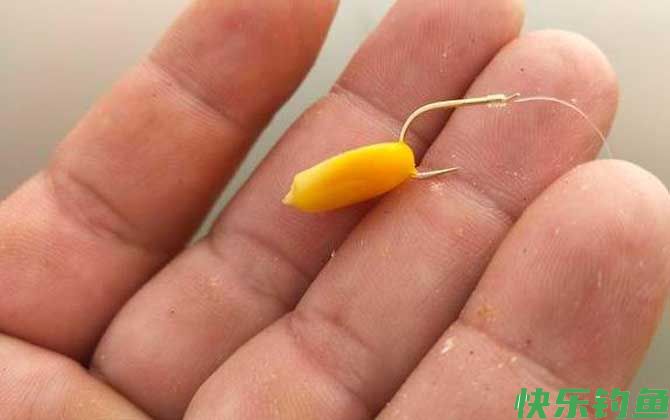 玉米挂钩方法及作钓技巧(图1)