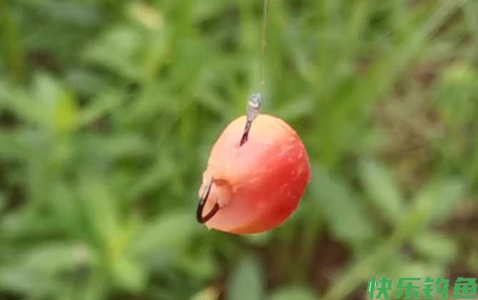 玉米挂钩方法及作钓技巧(图3)