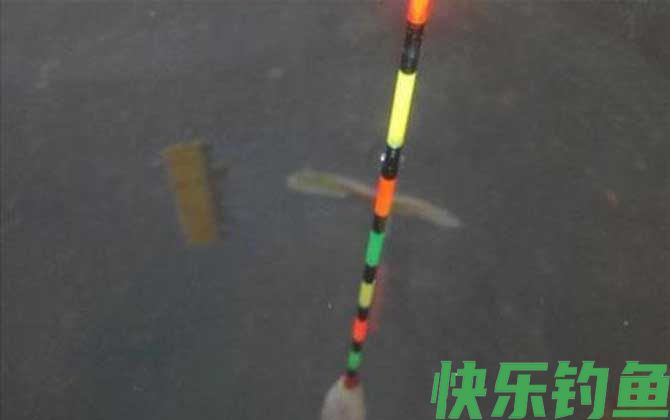 传统钓立漂怎么调漂？(图3)