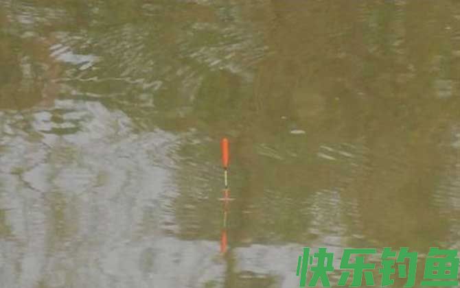 黑漂顿口都不中鱼是怎么回事？(图2)