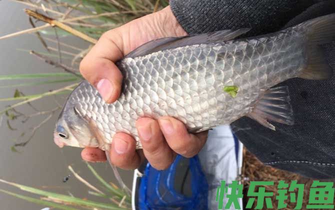 早春钓鱼技巧全知识(图1)