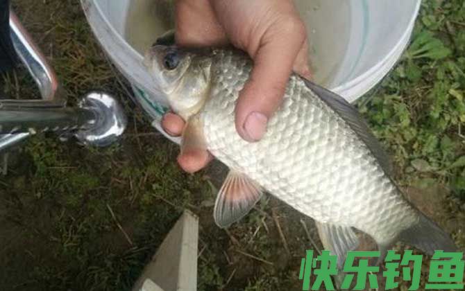 早春钓鱼技巧全知识(图3)