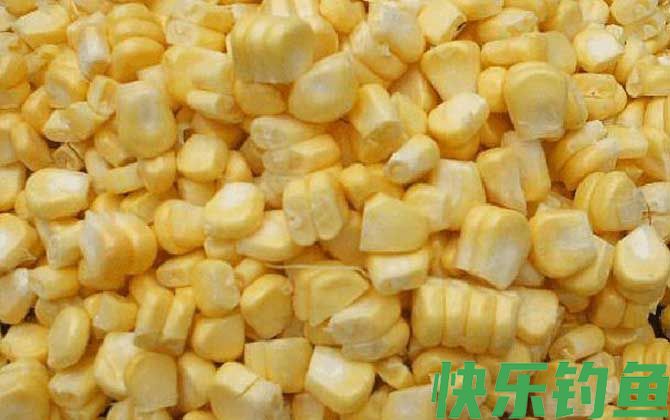 嫩玉米钓鲤鱼饵料制作方法(图3)