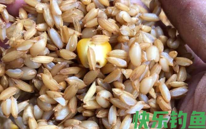 最简单的窝料制作方法和配方(图4)