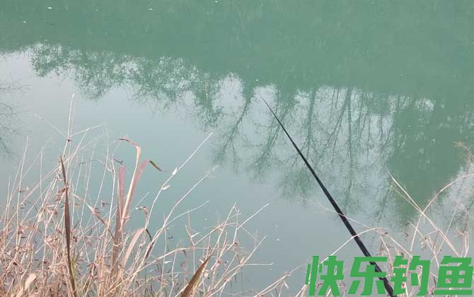 初冬钓鲫鱼用什么饵料？(图2)