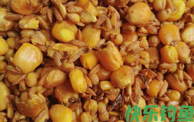 老玉米鲤鱼饵料配方大全(图1) 老玉米鲤鱼饵料配方大全(图1)