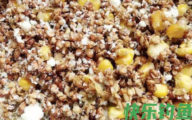 老玉米鲤鱼饵料配方大全(图2) 老玉米鲤鱼饵料配方大全(图2)
