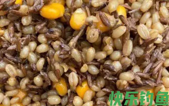 老玉米鲤鱼饵料配方大全(图5) 老玉米鲤鱼饵料配方大全(图5)