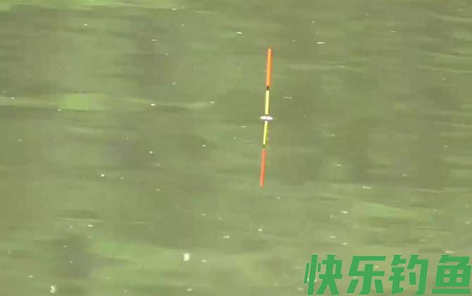 调五目钓二目怎么调漂？(图4)