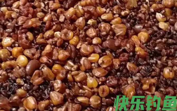 玉米钓鱼多久换一次饵？(图2)