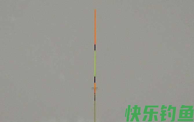 半水调漂是带钩还是不带钩？(图2)