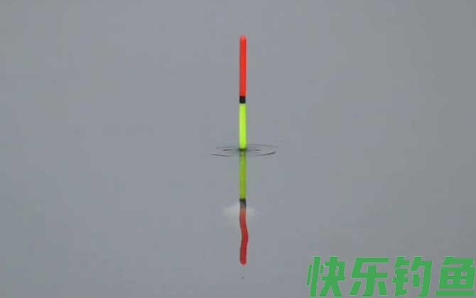 调四钓二为什么不适合野钓？(图1)