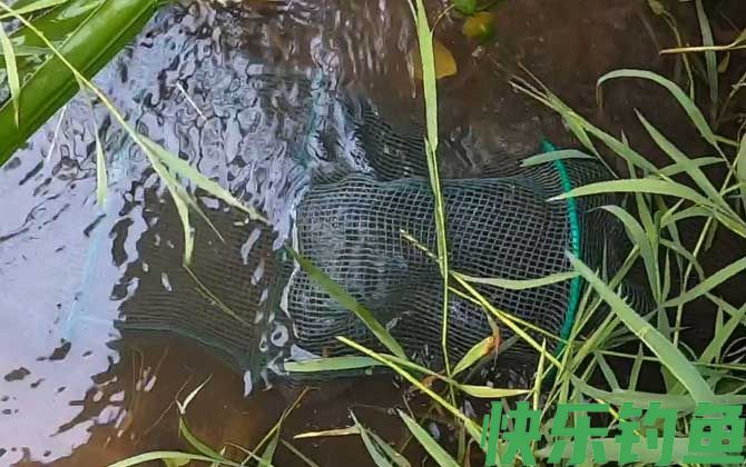 地笼捕鱼技巧及方法(图1)