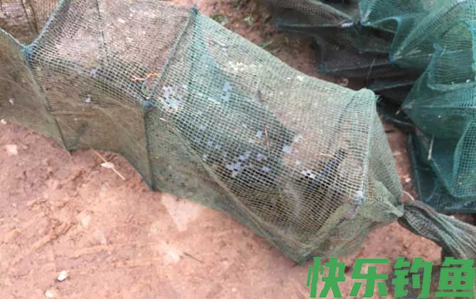 地笼捕鱼技巧及方法(图4)