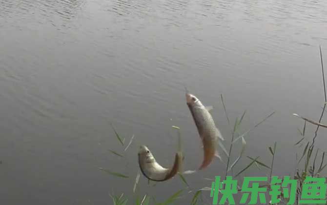深秋钓鱼时间地点天气选择技巧(图2)