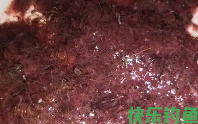 红虫和红线虫有什么区别？(图4)