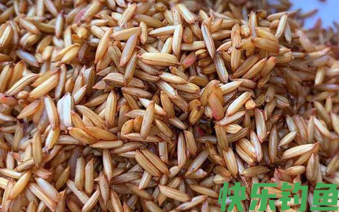 用什么窝料诱鲫鱼最快？(图4)