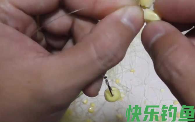 六月钓鱼用玉米怎么样？