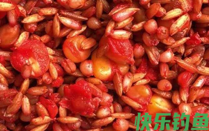 在家怎样配钓鱼打窝料？