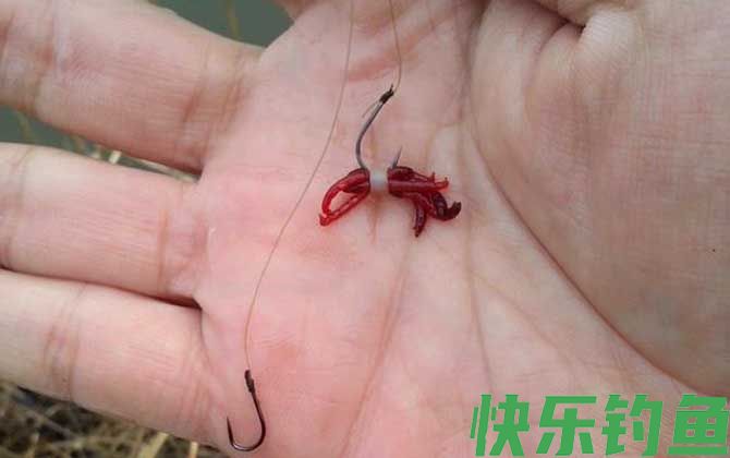 黑坑为什么不让用红虫？
