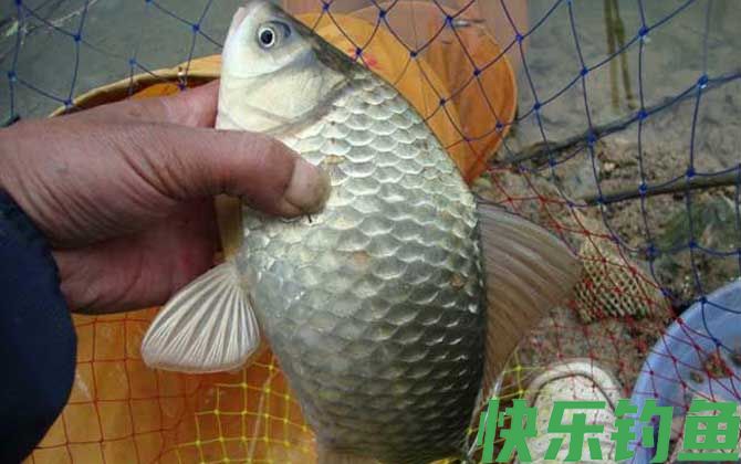 夏天东风好钓鱼吗？